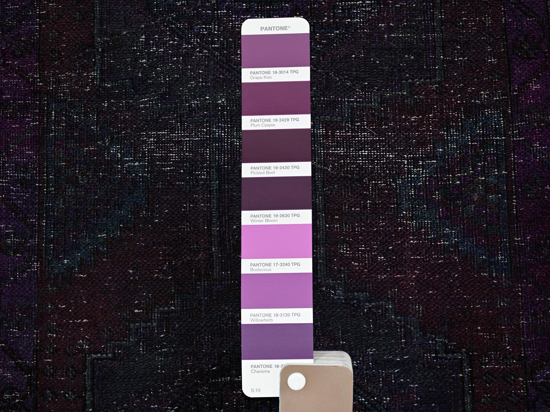 Text